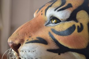 Ciencias Económicas y Administrativas Tigre