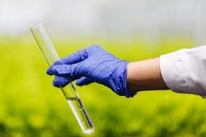 Ciencias en Biotecnología