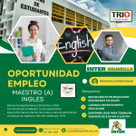 Oportunidad de Empleo: Maestro de Inglés