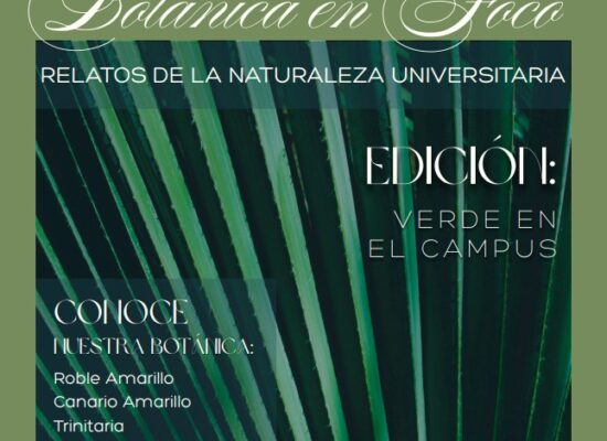 Botánica en Foco: 1ra Edición