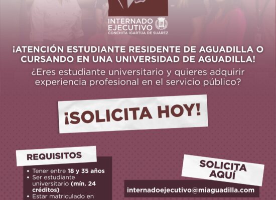 Internado Ejecutivo para Estudiantes de Aguadilla